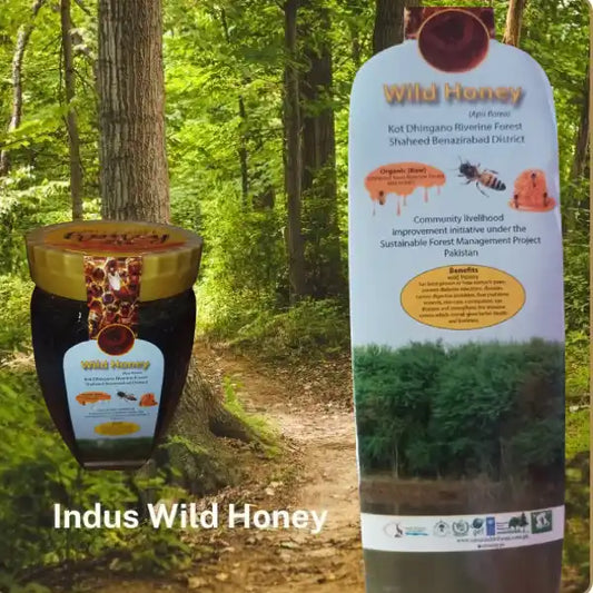 Indus Wild Honey – the precious product of Kot Dhingano Riverine Forest of Sindh Pakistan