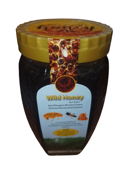 Kot Dhingano Riverine Forest ,raw ,unfiltered Wild Honey,100% pure.